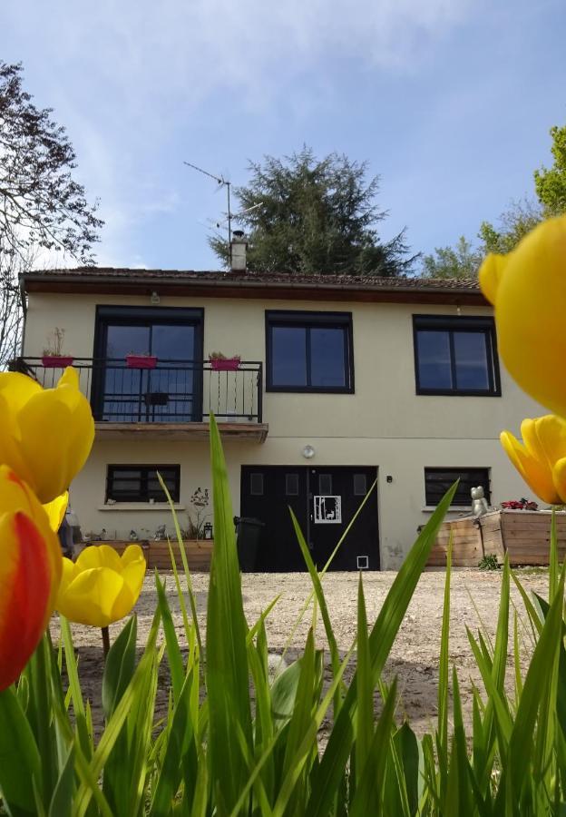 Apartmán Chez Flo Et Marc Chouzy-sur-Cisse Exteriér fotografie